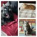 Chuck Schulze - Facebook