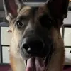 chuckschulze - @chuckschulze - TikTok
