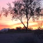 Chuck Schweiger - @chuckschweiger - Instagram