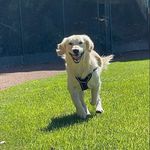 Chuck Scudder - @enzo_scudder - Instagram
