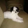 Chuck - @chuckseal8 - TikTok