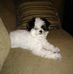 Chuck Seal - Facebook