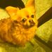 Charlie Sedgwick - Facebook