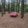 chuckseelye - @chuckseelye - TikTok