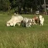 Chuck Sellman - @chuck.sellman - TikTok