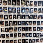 Chuck’s Hop Shop Seward Park - @chuckshopshopseward - Instagram