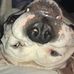 Charles Shackelford - Facebook