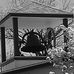 Chuck Shahan - Facebook