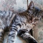 Chuck Shaver - @chuckshaver67 - Instagram