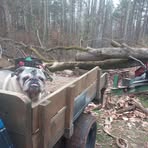 Chuck Shelton - Facebook
