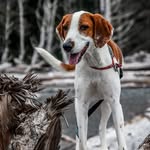 Chuck Shinn - @shinn_chuck - Instagram