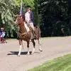 Chuck Shipp - @chuck.shipp - TikTok