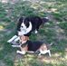 Charlie Shrum - Facebook