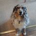 Chuck Shuman - Facebook