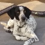 Chuck Siderits - @chucksiderits - Instagram