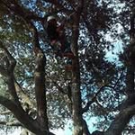 Chuck Simmers - @c.simmers - Instagram