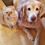 Penny Ziegler Simpkins - @simpkins.chuck - Instagram