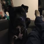 Chuck Simpson - @chuck.simpson.10236 - Instagram