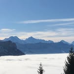 Chuck - @chuck_sininski - Instagram