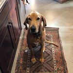 Chuck Sinclair - @chucktheredbone - Instagram