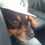 Chuck Skeen - @chuckskeen - Instagram