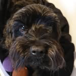 Chucky's weekly posts - @chucky.slater - Instagram