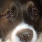Chuck Snell - @chucksnell - Instagram