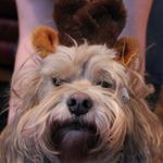 Chuck Spicer - @c.spicer - Instagram