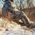 Chuck Swanson - @chuck_swanson - Instagram