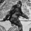 Chuck Swanson - @papawsquatch - TikTok
