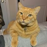 Chuck | Sweet Pea - @youcancallmechuck - Instagram