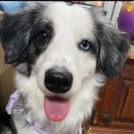 Chuck 🤍 - @sweetlifeofchuck - Instagram