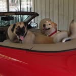 Chuck Tucker - @chuck.tucker.925 - Instagram