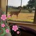 Chuck Tupper - Facebook