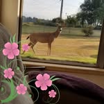 Chuck Tupper - @tupperchuck - Instagram