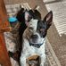 Charlie Tuttle - Facebook