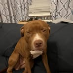 Charles Utley - Facebook