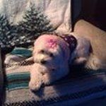 Chuck Whitney - @crw.jr62 - Instagram