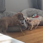 Whitney & Chuck - @whitneyandchuck - Instagram