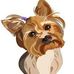 Chuck Yu - Facebook