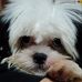 Chuck Yu - Facebook