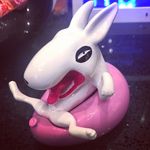 Chuckzhang - @chuckzhang17 - Instagram
