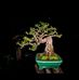 Chul Kyu Lim - Facebook
