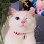 黄楚凌 - @huangchuling1031 - Instagram