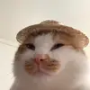 fu xinchun - @fu.xinchun7 - TikTok