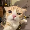 __Chunhee - @__chunhee - TikTok