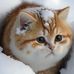 Chun He - Facebook