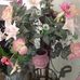 Chun Tse - Facebook