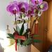 Chun Tse - Facebook