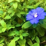 Chung Dang - @chungdang8396 - Instagram
